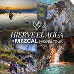 BLOG - PUNTO PAZ-HIERVE+MEZCAL